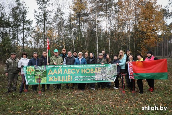 К акции «Дай лесу новае жыццё!» присоединился депутатский корпус Сморгонщины, а также представители общественных объединений.